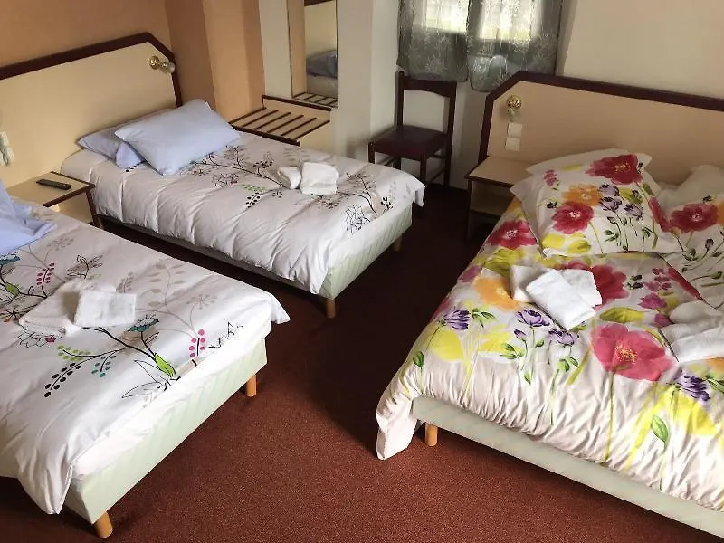 Hôtel Myosotis Lourdes 3*,