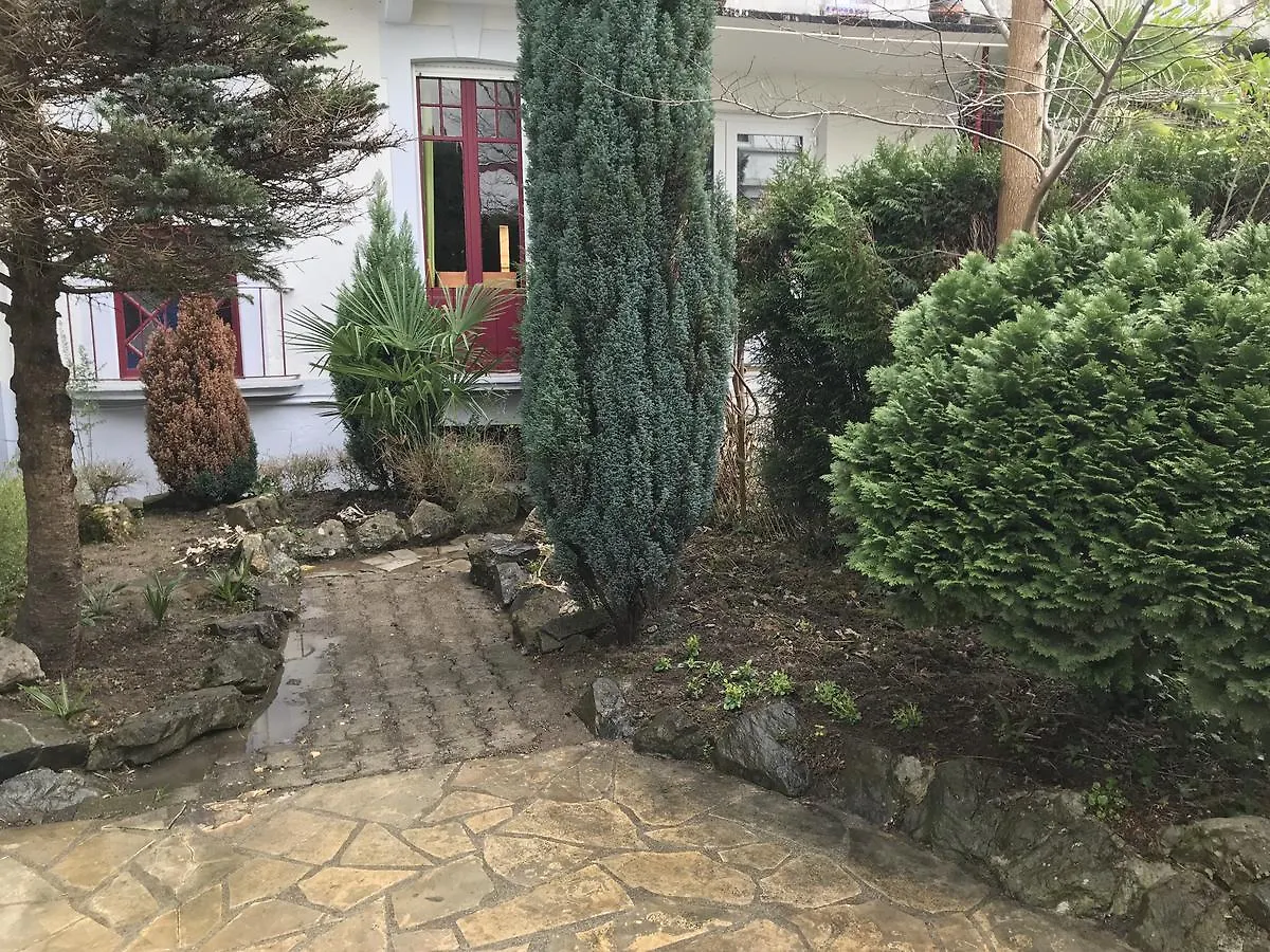 Hôtel Myosotis Lourdes