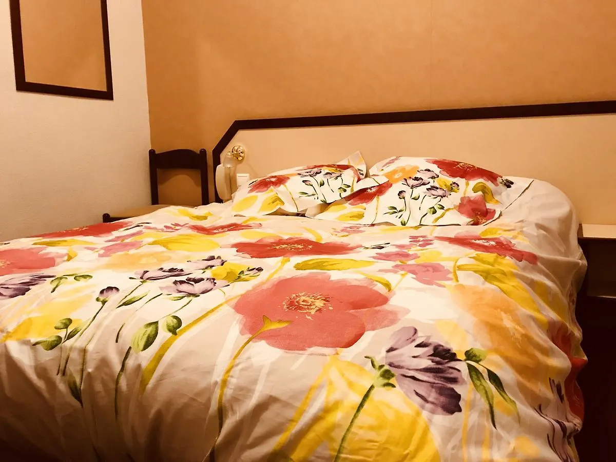 Hôtel Myosotis Lourdes Hotel