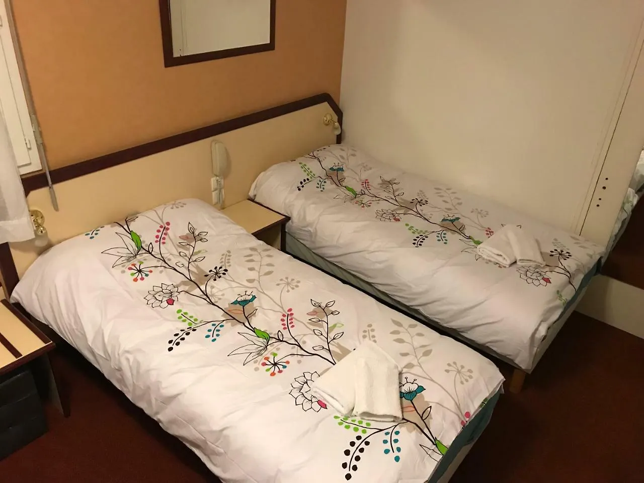 Hôtel Myosotis Lourdes 3*,