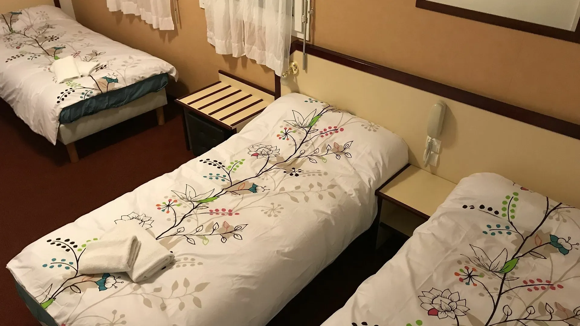 Hôtel Myosotis Lourdes Hotel