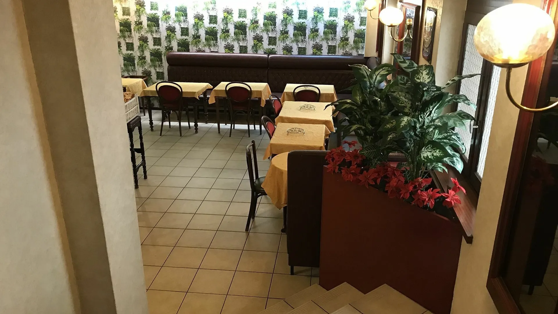 Hôtel Myosotis Lourdes Hotel