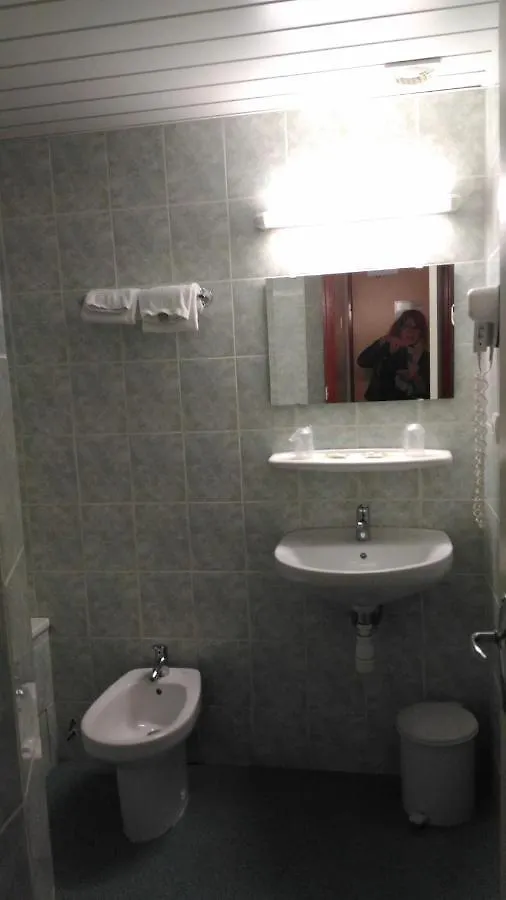 Hotel Myosotis Lourdes 3*,