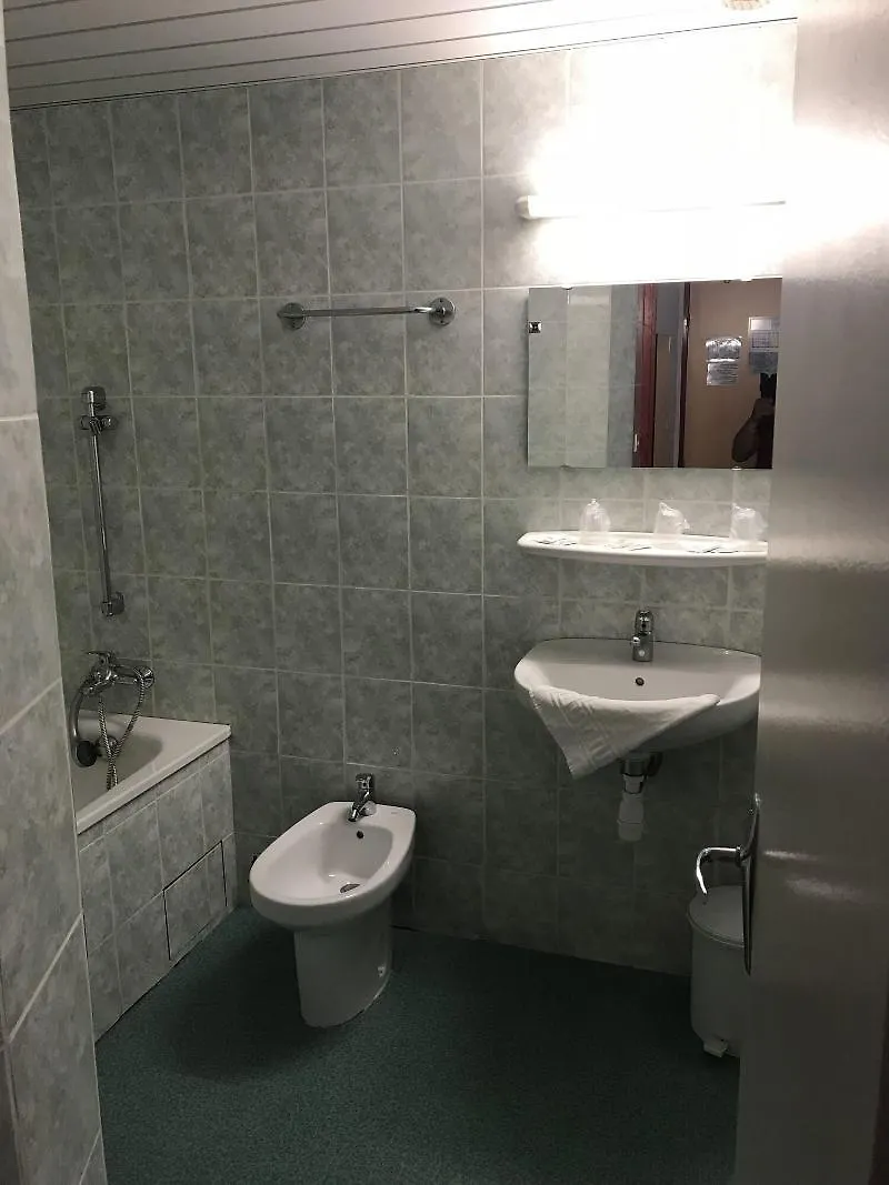 Hotel Myosotis Lourdes
