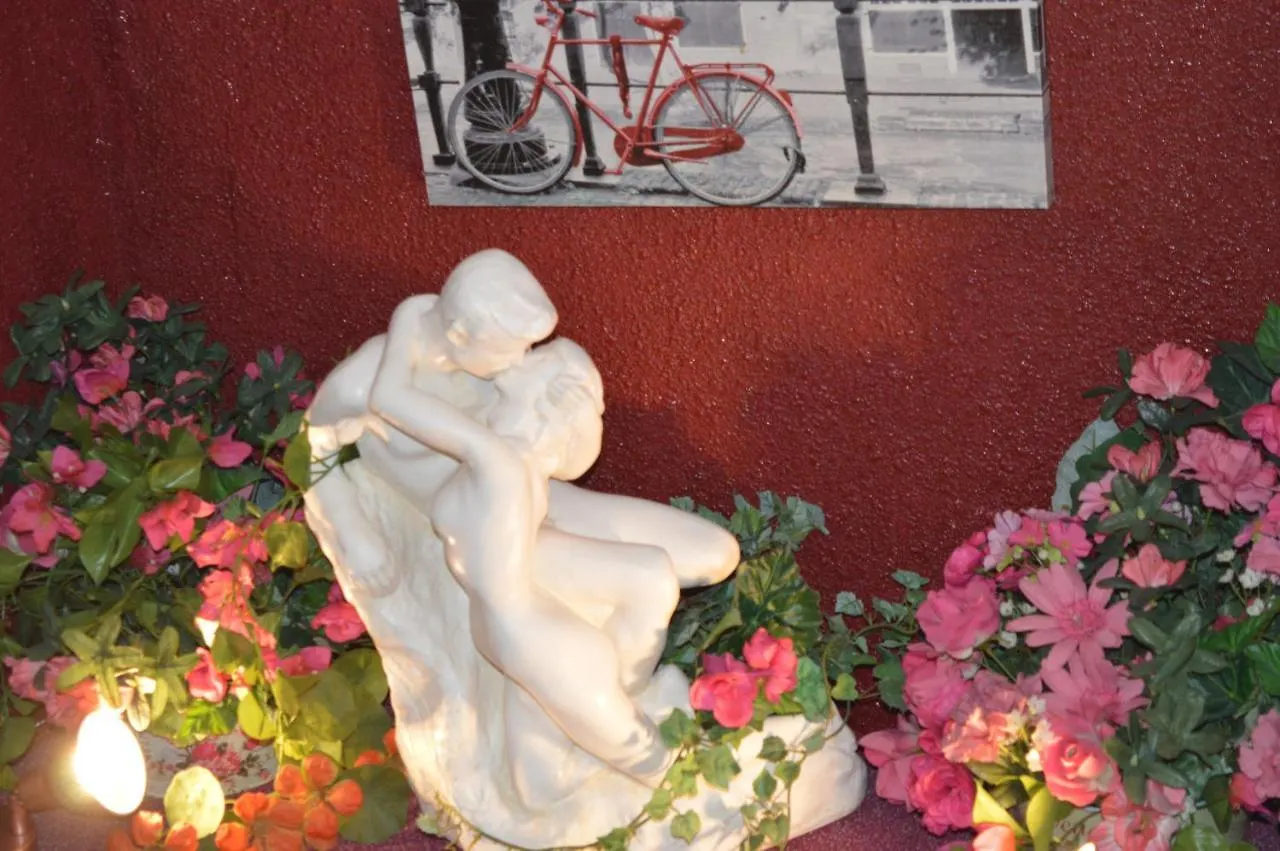 Hotel Myosotis Lourdes