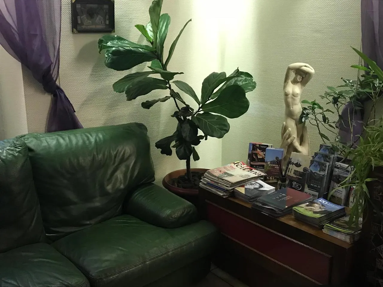 Hotel Myosotis Lourdes France